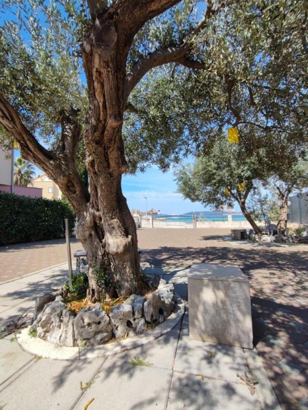 Apartment Bionda - Seafront *